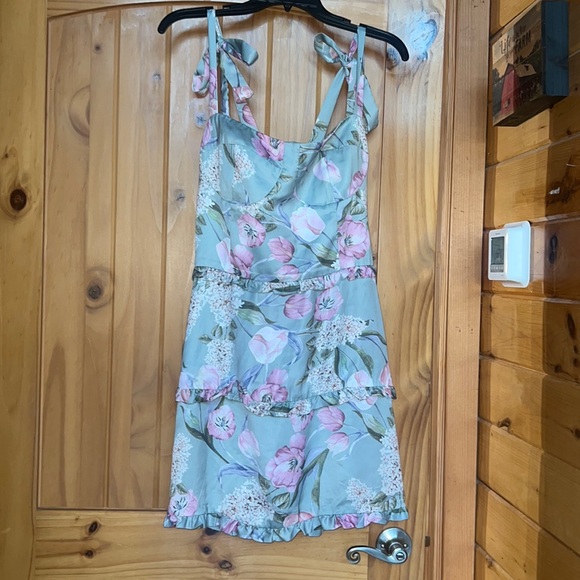 Show Me Your Mumu Lady Corset Mini Dress - Picture 3 of 15